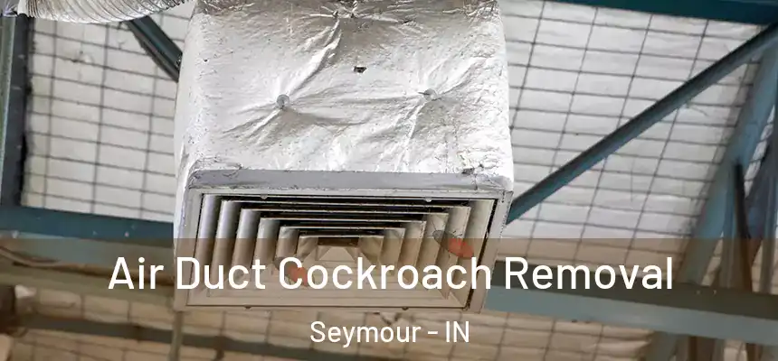 Air Duct Cockroach Removal Seymour - IN