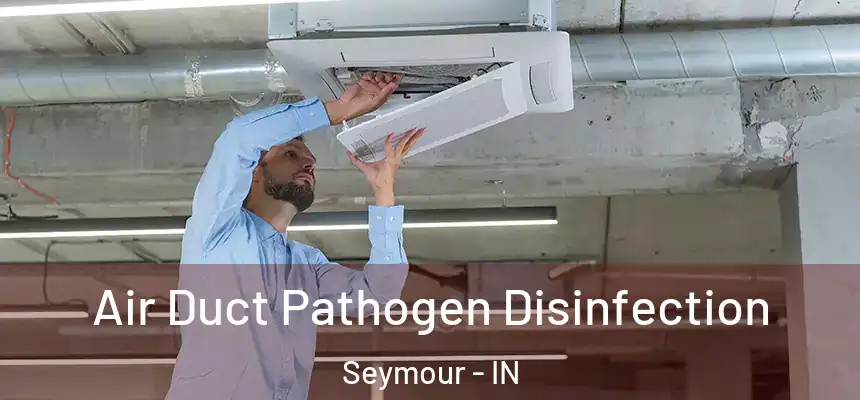 Air Duct Pathogen Disinfection Seymour - IN