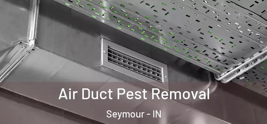  Air Duct Pest Removal Seymour - IN