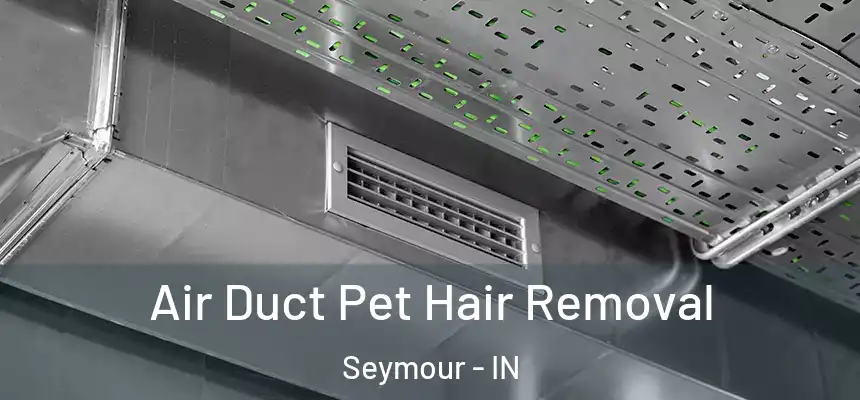 Air Duct Pet Hair Removal Seymour - IN