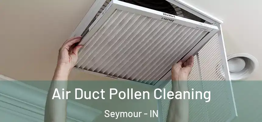  Air Duct Pollen Cleaning Seymour - IN