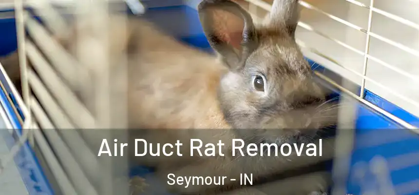 Air Duct Rat Removal Seymour - IN