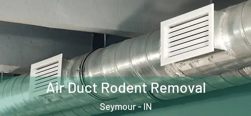 Air Duct Rodent Removal Seymour - IN