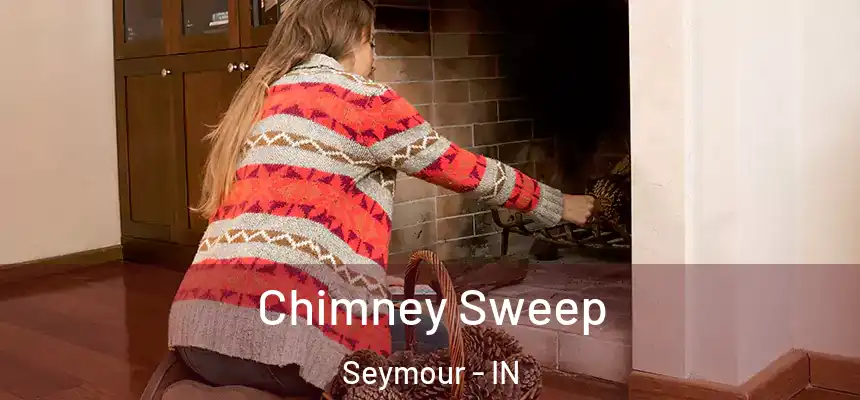 Chimney Sweep Seymour - IN