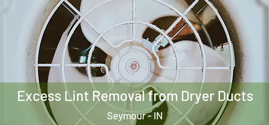  Excess Lint Removal from Dryer Ducts Seymour - IN