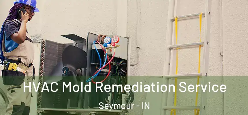 HVAC Mold Remediation Service Seymour - IN