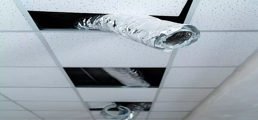 Our Air Duct Pet Hair Removal Services in Seymour, IN