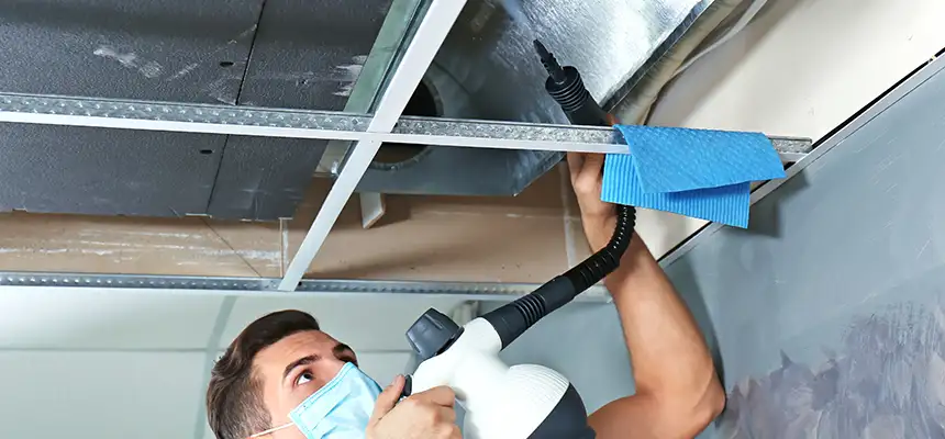 Our Air Duct Rodent Removal Services in Seymour, IN