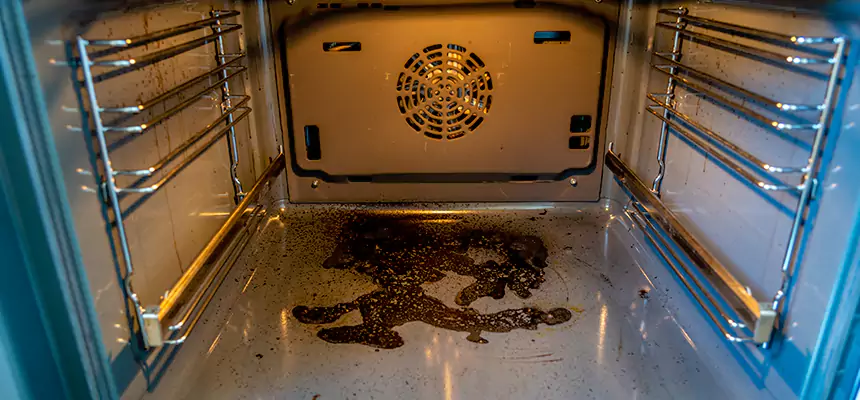 Our Dryer Vent Mold Cleaning Services in Seymour, IN