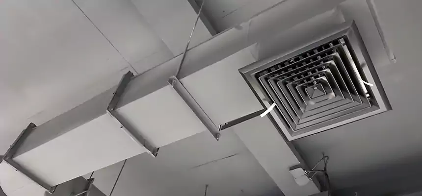 Our Pest Removal From Ducts Services in Seymour, IN