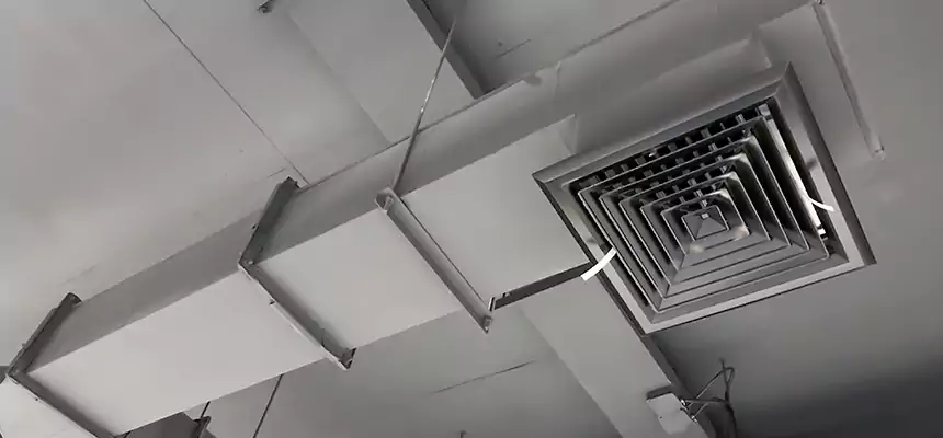 Our Rodent Droppings In Vents Services in Seymour, IN