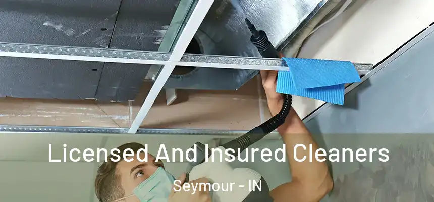  Licensed And Insured Cleaners Seymour - IN