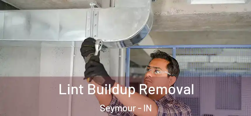  Lint Buildup Removal Seymour - IN