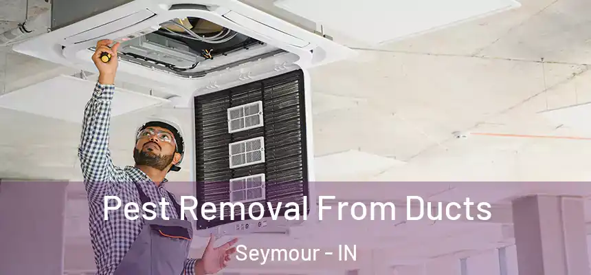 Pest Removal From Ducts Seymour - IN