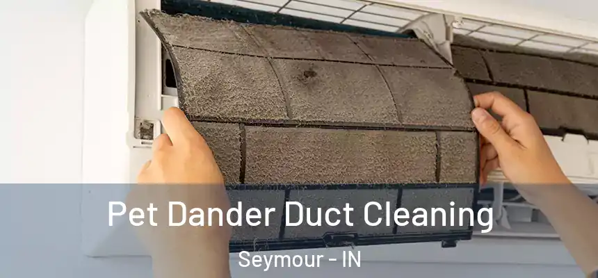 Pet Dander Duct Cleaning Seymour - IN