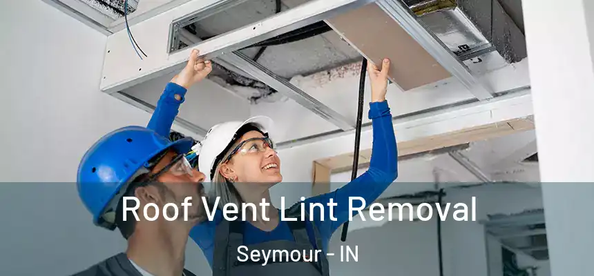 Roof Vent Lint Removal Seymour - IN