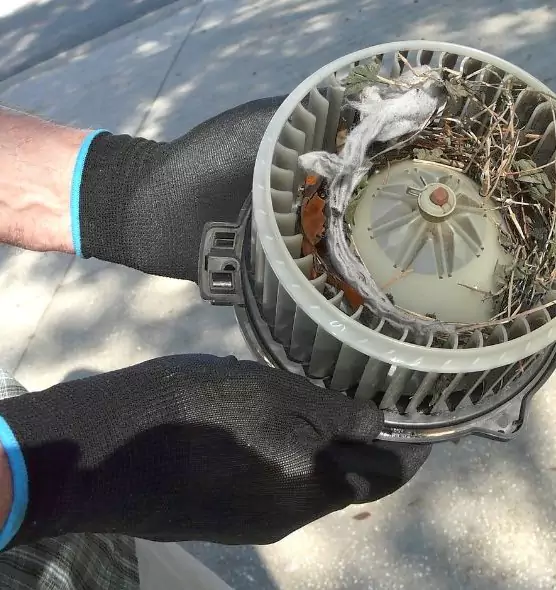 About Air Duct Mice Removal in Seymour, IN