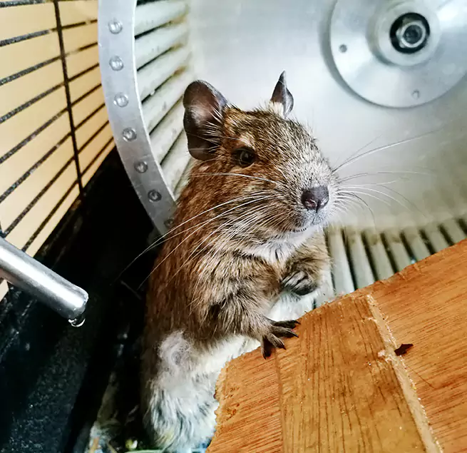 Why Homeowners & Businesses Trust Us Seymour, IN