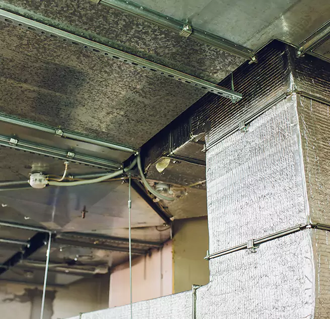 Why Homeowners & Businesses Trust Us in Seymour, IN?